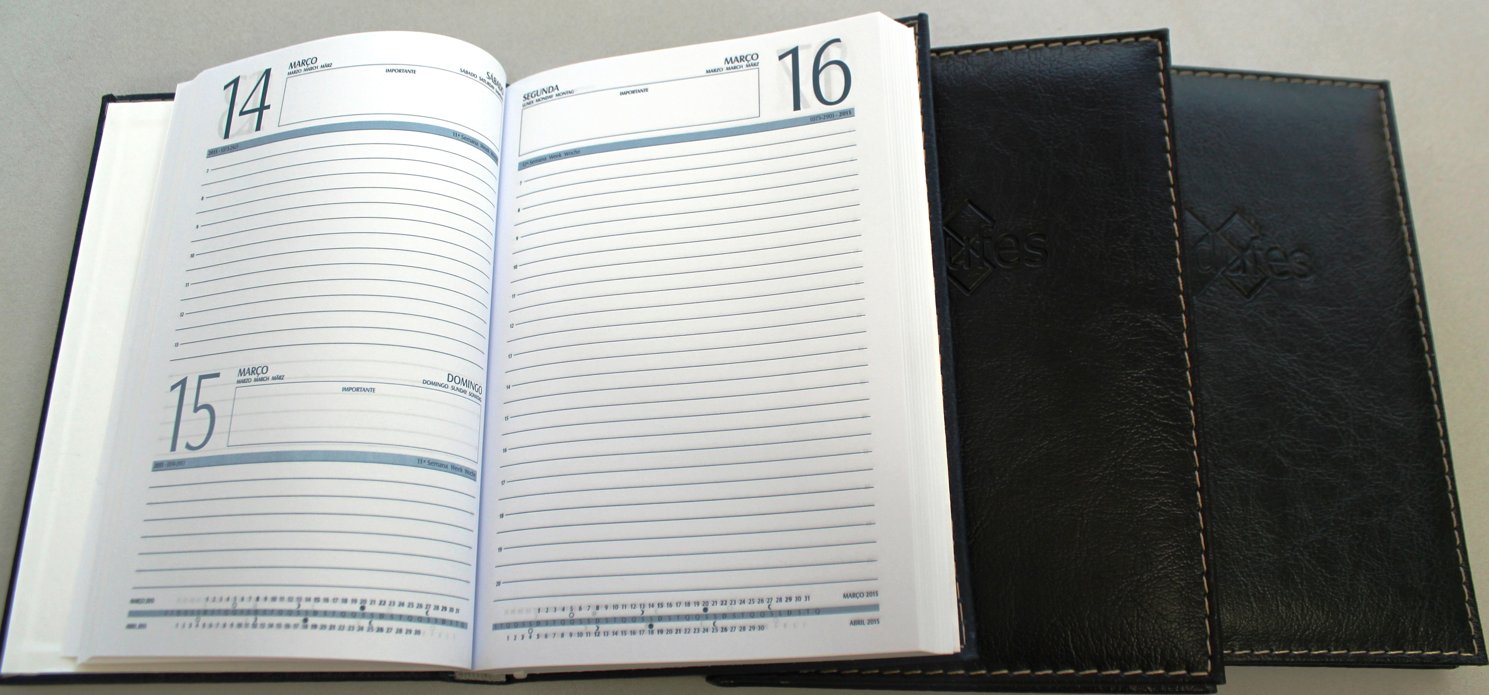 agendas masculinas